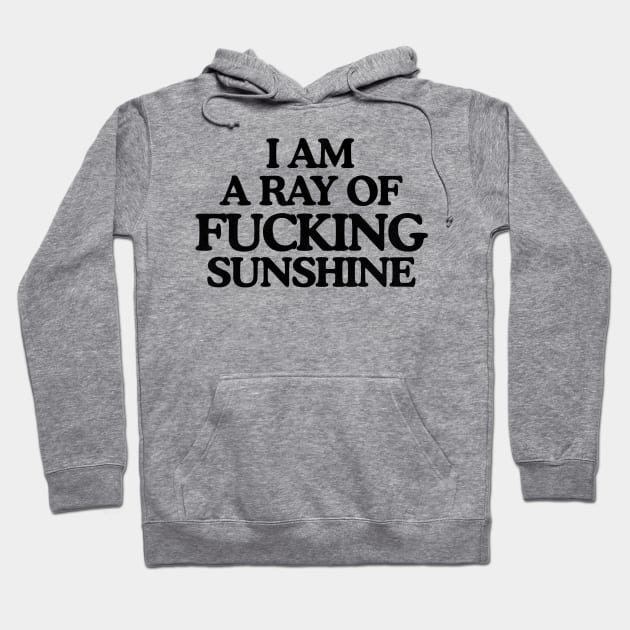 I'm a Ray of F*cking Sunshine Hoodie by darklordpug